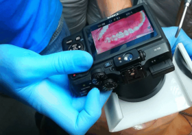 Why do we need a dental photo protocol?